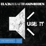 Use It album cover