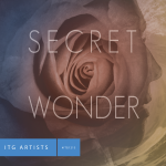Secret Wonder album cover