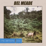 Bel Meade album cover